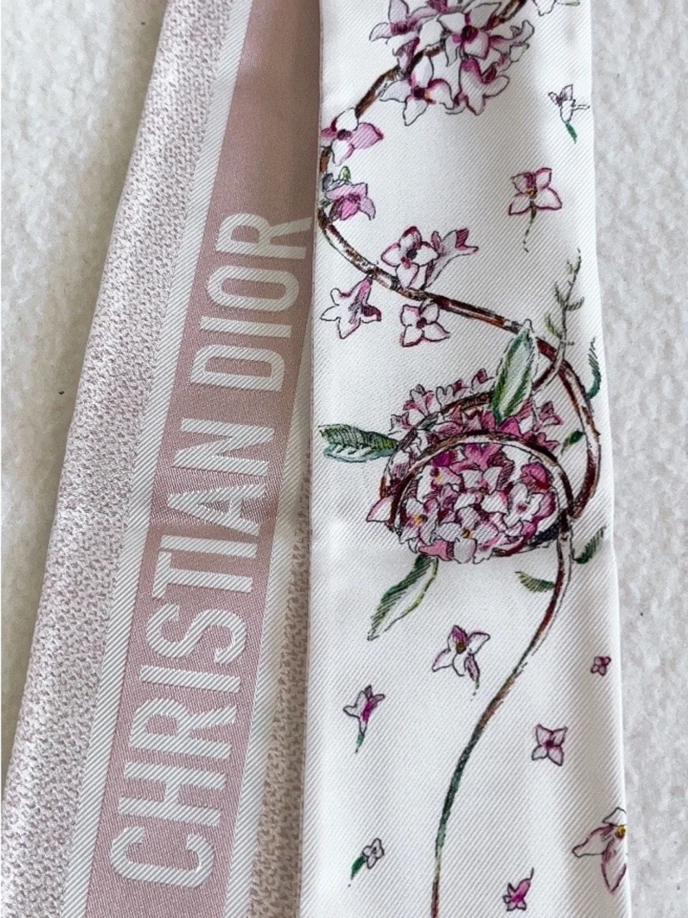 Dior Jardin D’hiver Mitzah Silk Scarf